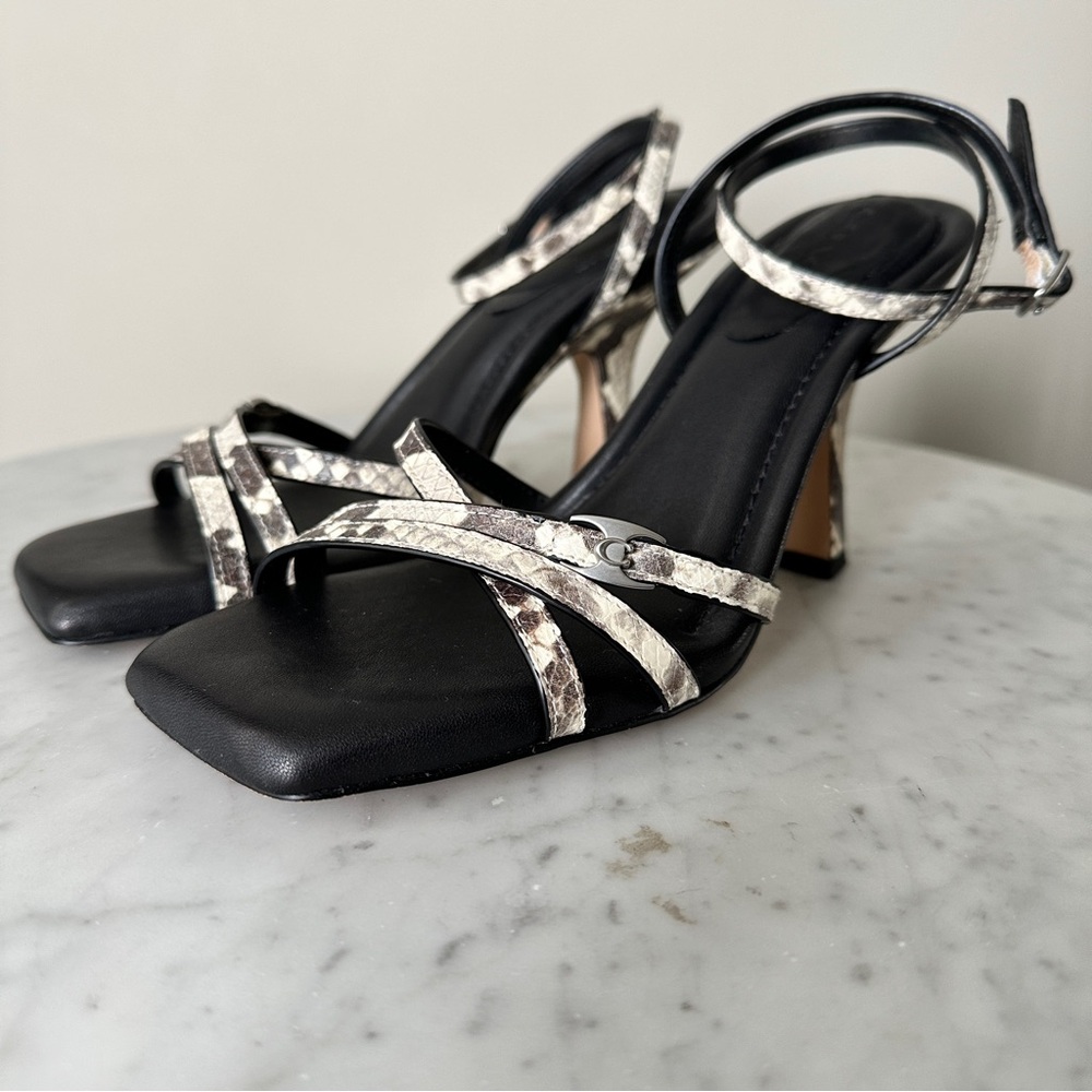 COACH | Grey Snakeskin Sculpted C Kitten Heels  with Square Toe  7.5- Elegant - Picture 3 of 13